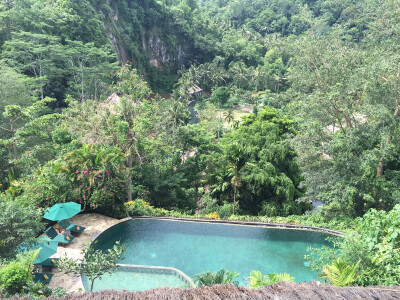 Bali巴厘岛 丛林中的泳池
