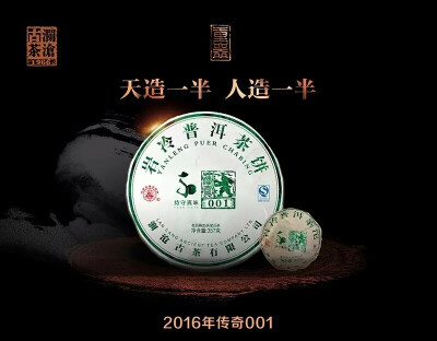 来自景迈山的古树春茶