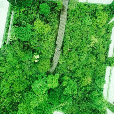 从玻璃缆车的透明底看下去，沁人心脾的绿。