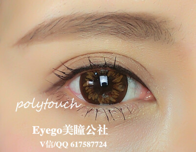 Polytouch CE珍妮朱古力