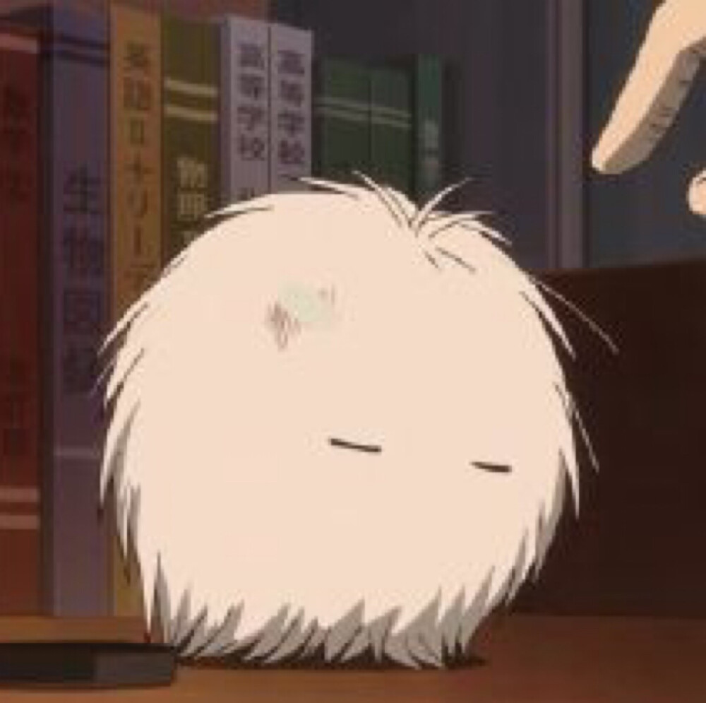 动漫头像 夏目友人帐 毛球