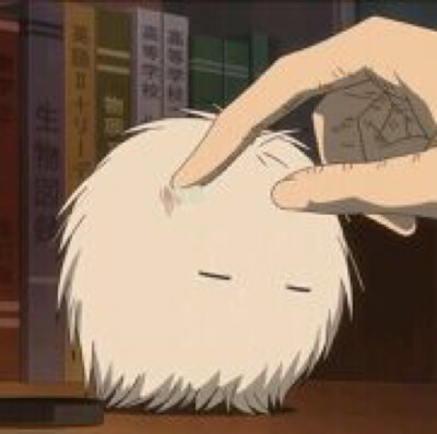 动漫头像 夏目友人帐 毛球