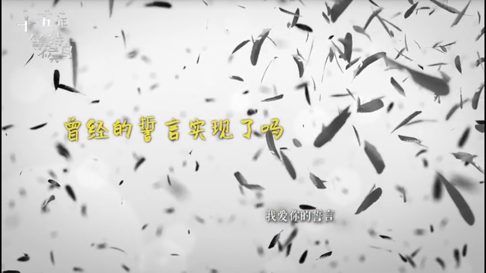 十五年等待候鸟