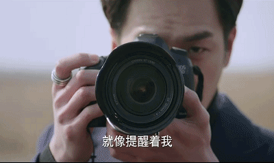 十五年等待候鸟