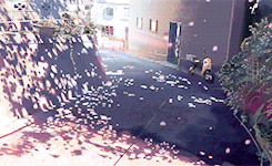 场景美gif