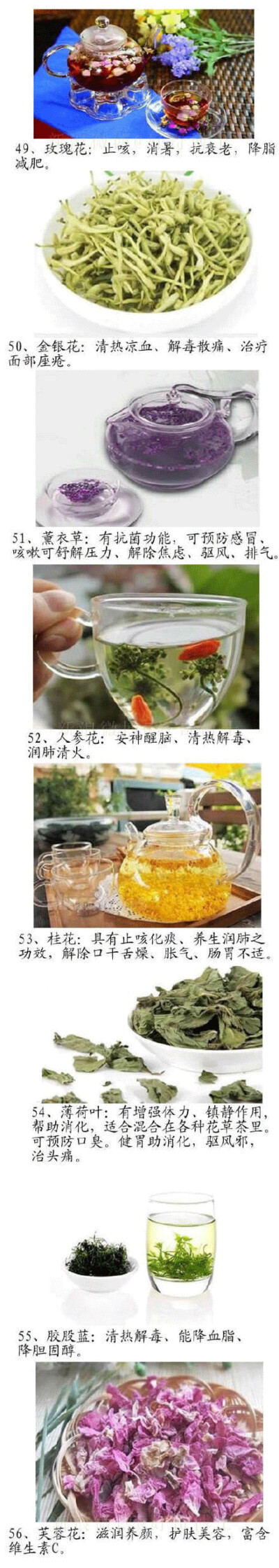 各种花草茶