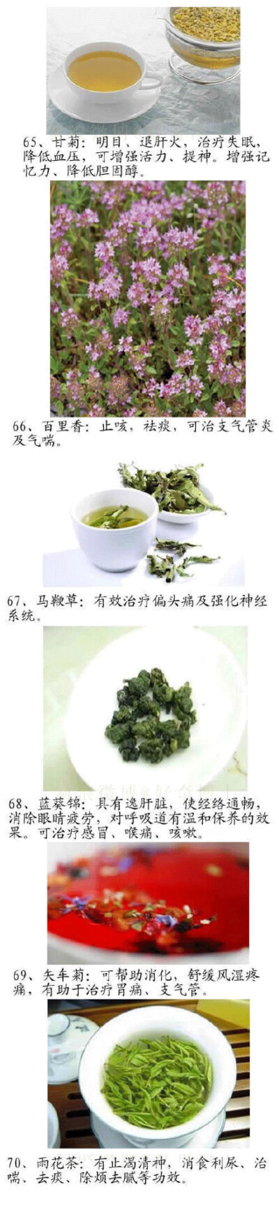 各种花草茶