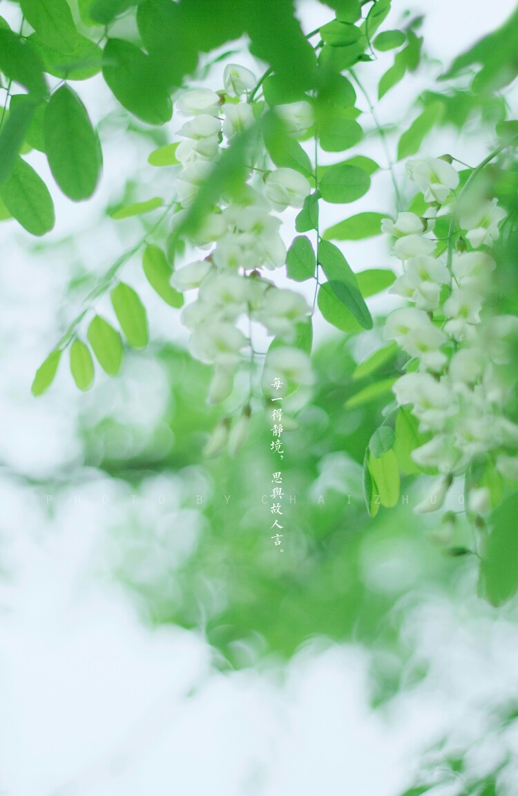 又细又小