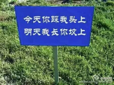 清明踏青要当心