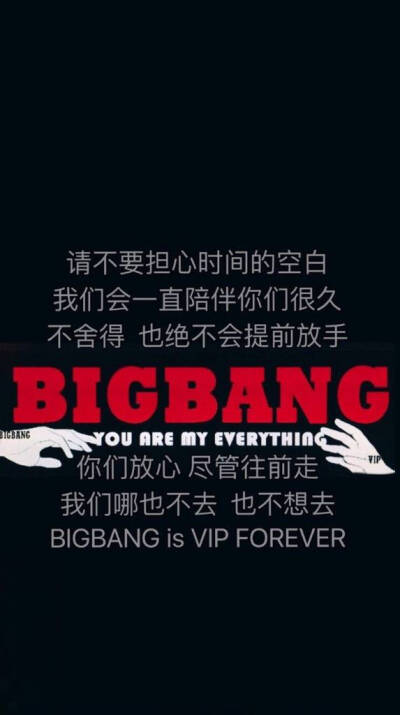 BIGBANG VIP