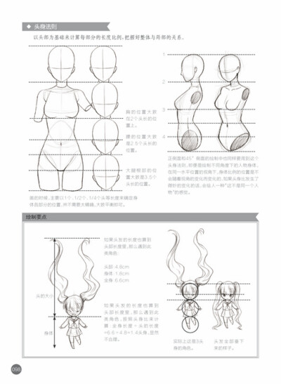 人体比例