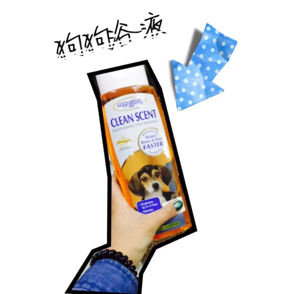 〔宠物用品〕
狗狗浴液 