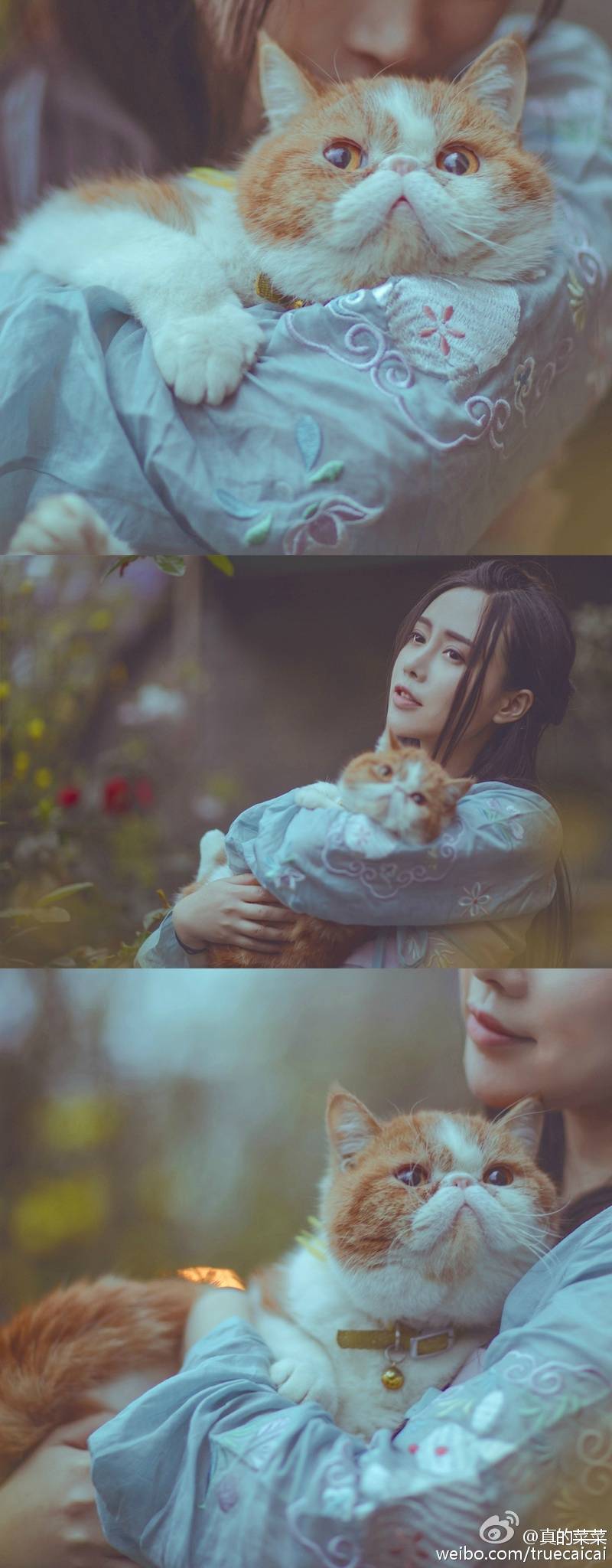 出镜：真的菜菜: #汉服# 清明。
-------------------------------------
人生恰如三月花,倾我一生一世念。
来如飞花散似烟,醉里不知年华限
-------------------------------
摄影/后期@七味zoe 妆自理 同行协助@怀砚 七娘 圈组织@黑天视觉COS官博