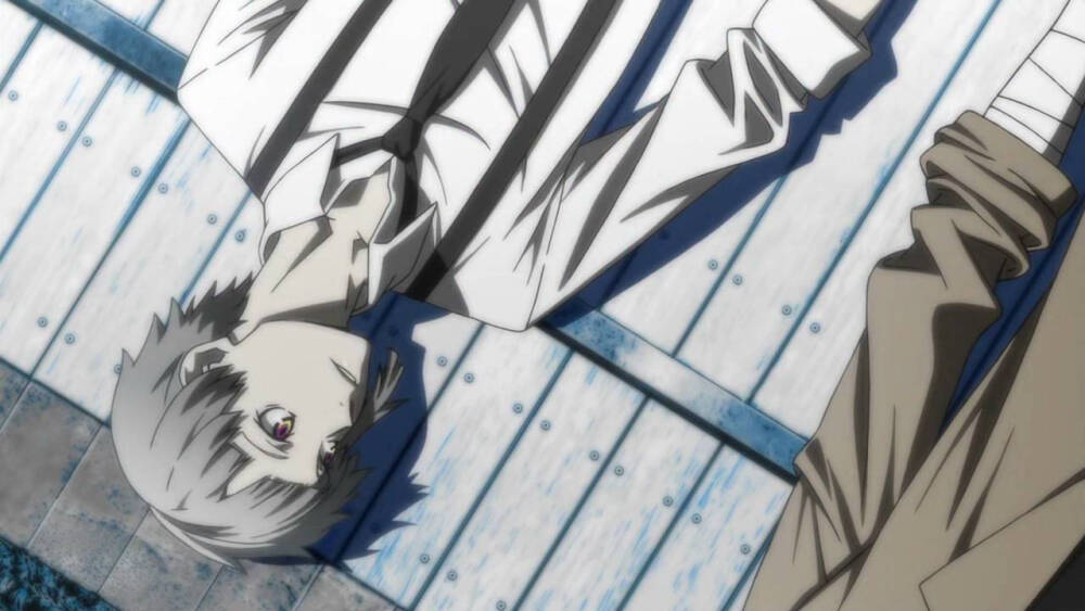 文豪野犬 中岛敦