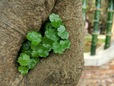 呐，春天来了 2016.4.16