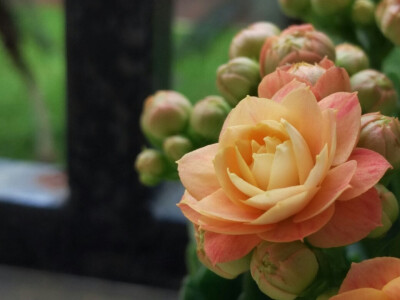 取舍不下的两张 2016.4.22