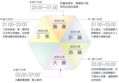 减肥，美容，护肤