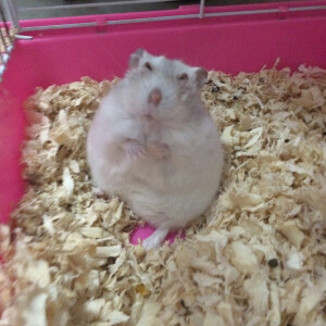 胖好多了啊 太胖了 又舍不得给她饿着了