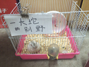 已经正式更名为 一大坨 不过闺女始终是闺女