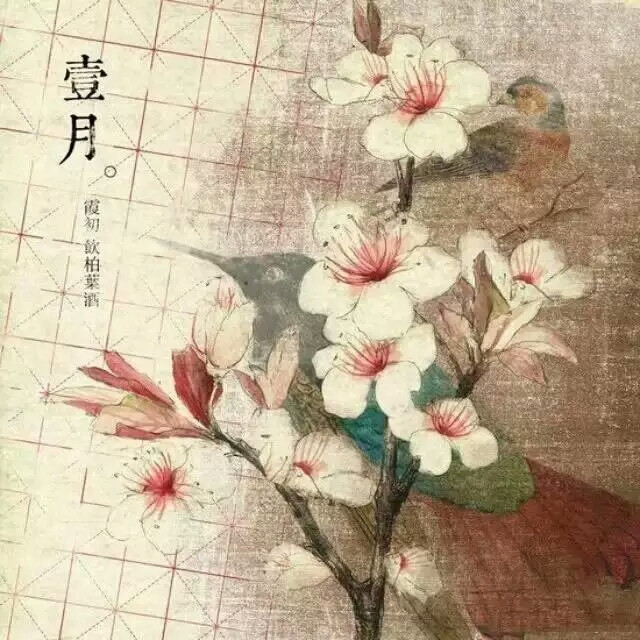 【花醉薇·壹·花卉筆記】一月