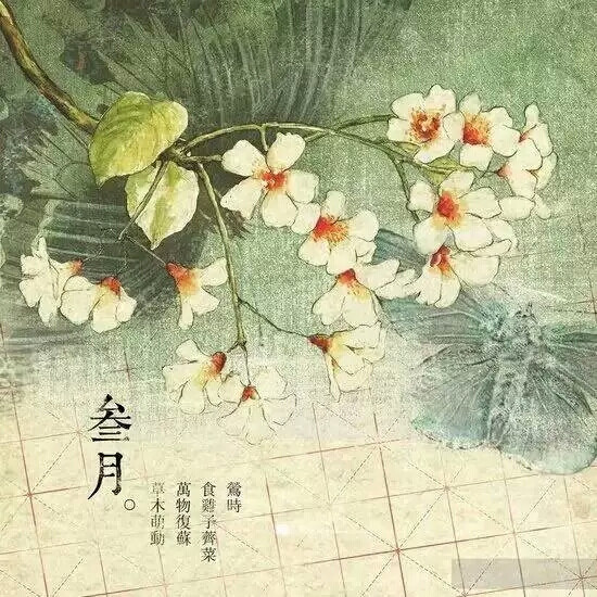 【花醉薇·叁·花卉筆記】三月