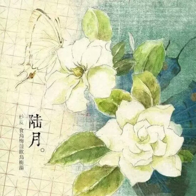 【花醉薇·陆·花卉筆記】六月