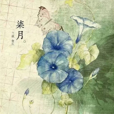 【花醉薇·柒·花卉筆記】七月