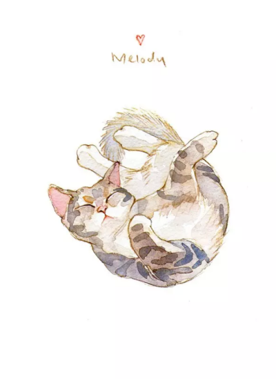 熟睡的猫咪 by画师：夏小茶melody