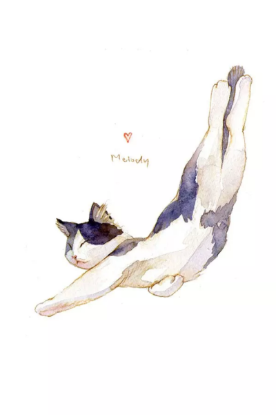 熟睡的猫咪 by画师：夏小茶melody