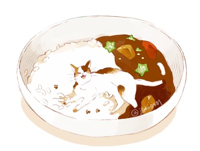 猫与食物