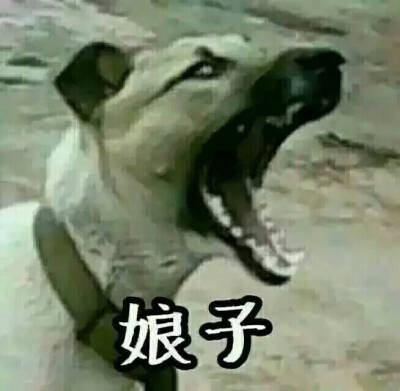 搞怪情头