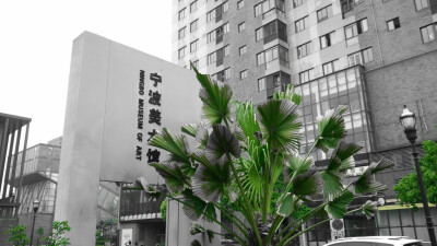 宁波美术馆 黑白 雨天 摄影