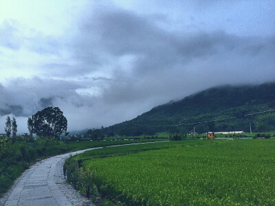 雨后的清新 — by 燕十八