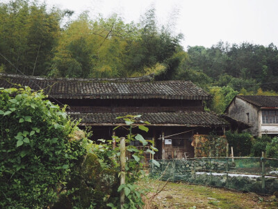 娘家建了新房子，而我却无比怀念那消失了却承载着我童年记忆的老房子，如今回忆那一段时光，总觉得恍惚而不真实。我想终归是那间老房子没了的原因，记忆没有了参照物与载体。老房子就像一个村子的年轮，细数时光，在…