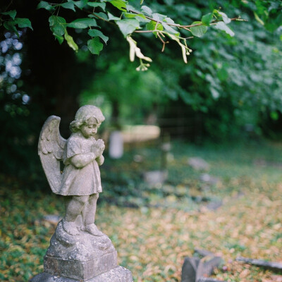 【英国夏末的田园诗】@侧脸君 的相册 | 去远方 taken by Rolleiflex 2.8F @Oxford, London,Cotswolds