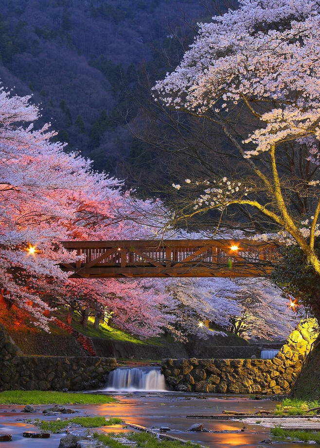 Kyoto, Japan