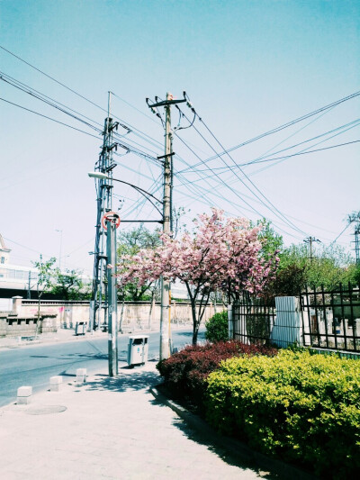 青岛的街道 随便一处都是风景