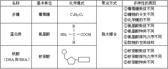 多糖，蛋白质，核酸