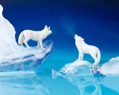 [童话般的冬天] Jeff Friese...