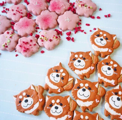甜品也要很可爱——樱花饼干和柴犬宝宝