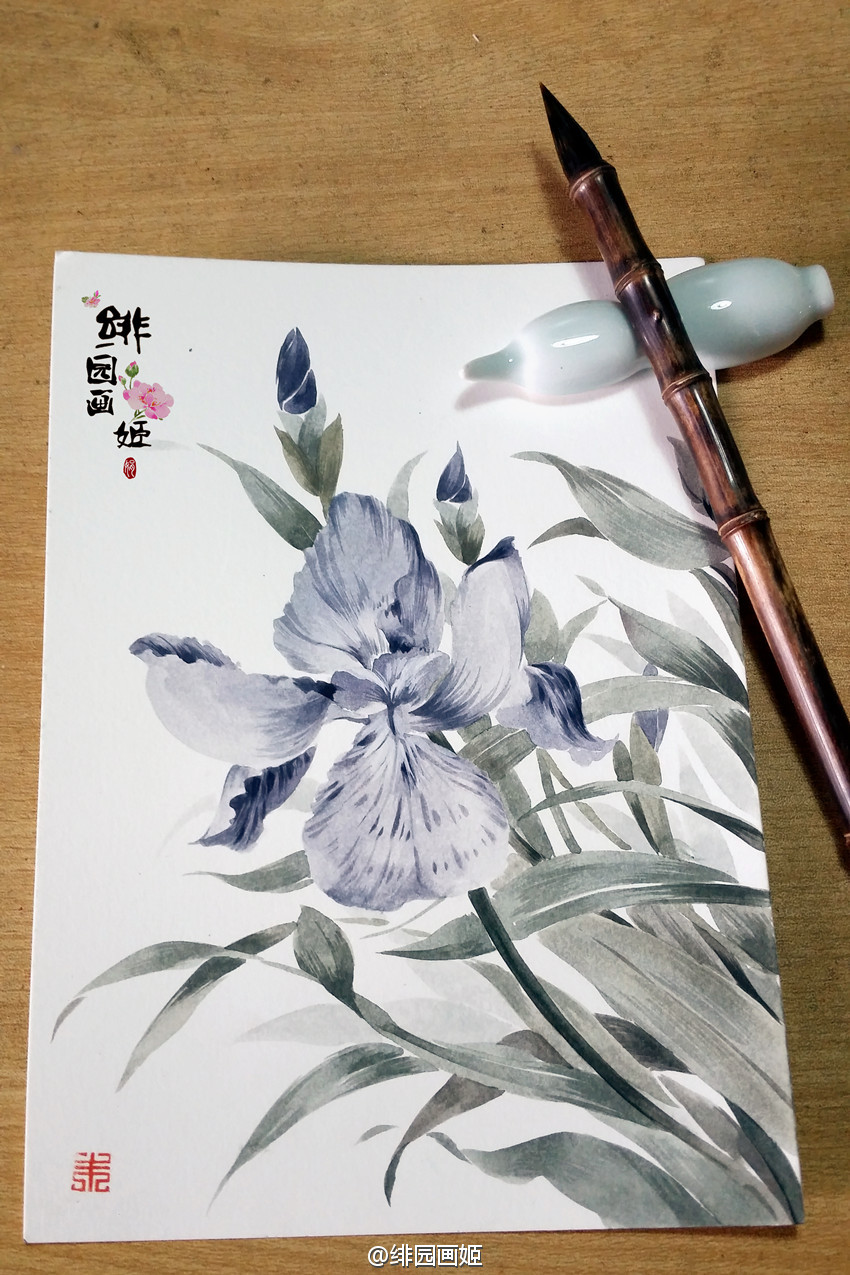 绘师：绯园画姬＃水彩＃＃花卉＃＃插画＃炒鸡喜欢阿绯的画，颜色美哭了～