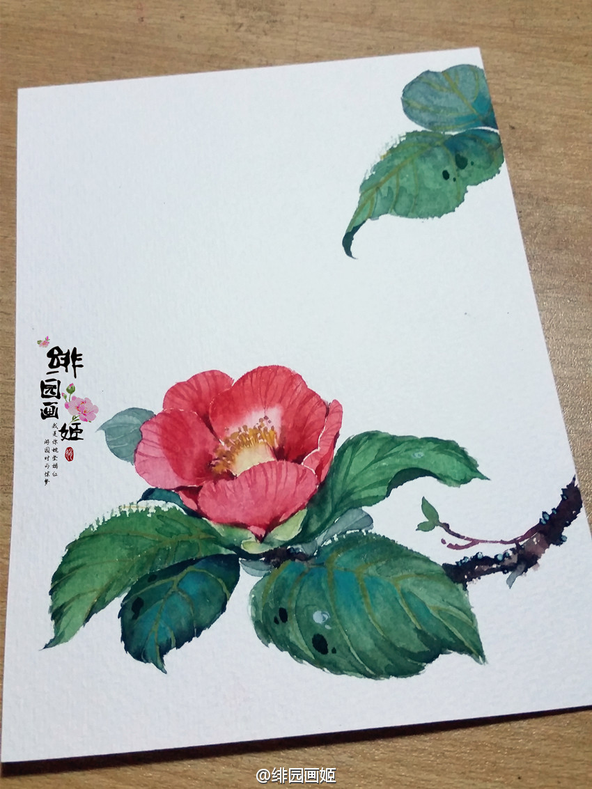 绘师：绯园画姬＃水彩＃＃花卉＃＃插画＃炒鸡喜欢阿绯的画，颜色美哭了～