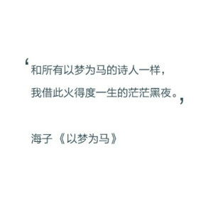 和所有以梦为马的诗人一样，我借此火得度一生的茫茫黑夜。——海子《以梦为马》