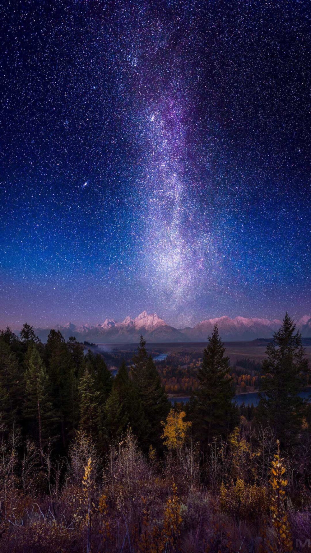 星空宇宙 无垠天空 无边无际 宏观庞大 壮美神奇 唯美神秘 森林 黑色