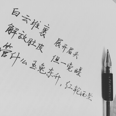 #手写#管什么玉兔东升，红日西坠。