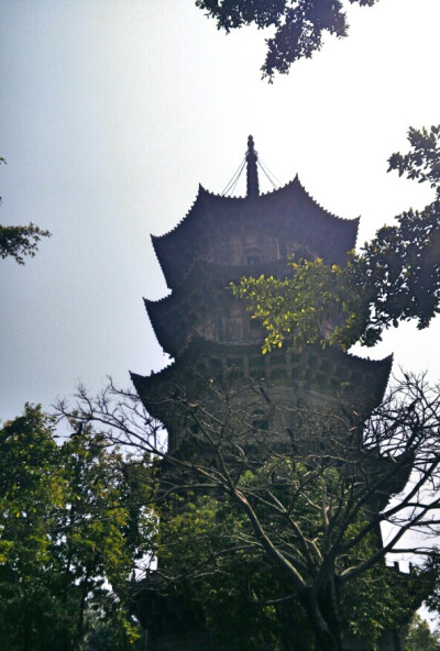 2016.3.19丨踏春 开元寺 东塔