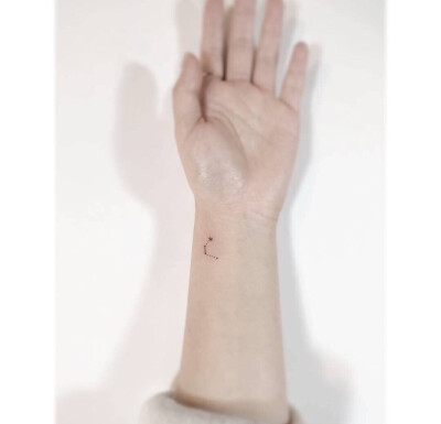 Tiny Tattoos。小清新紋身