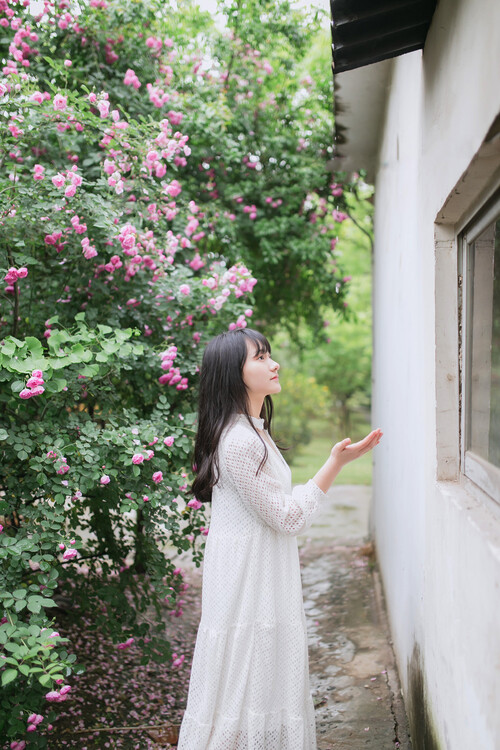 图片自截来源网络