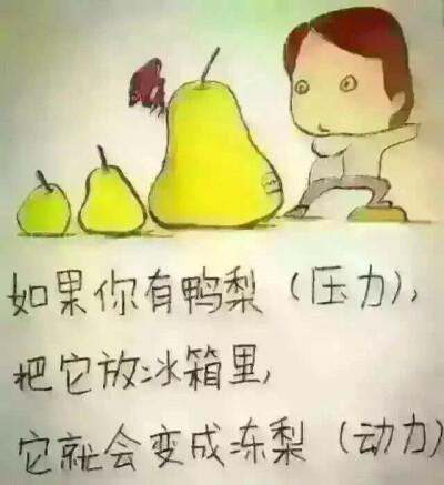 压力动力