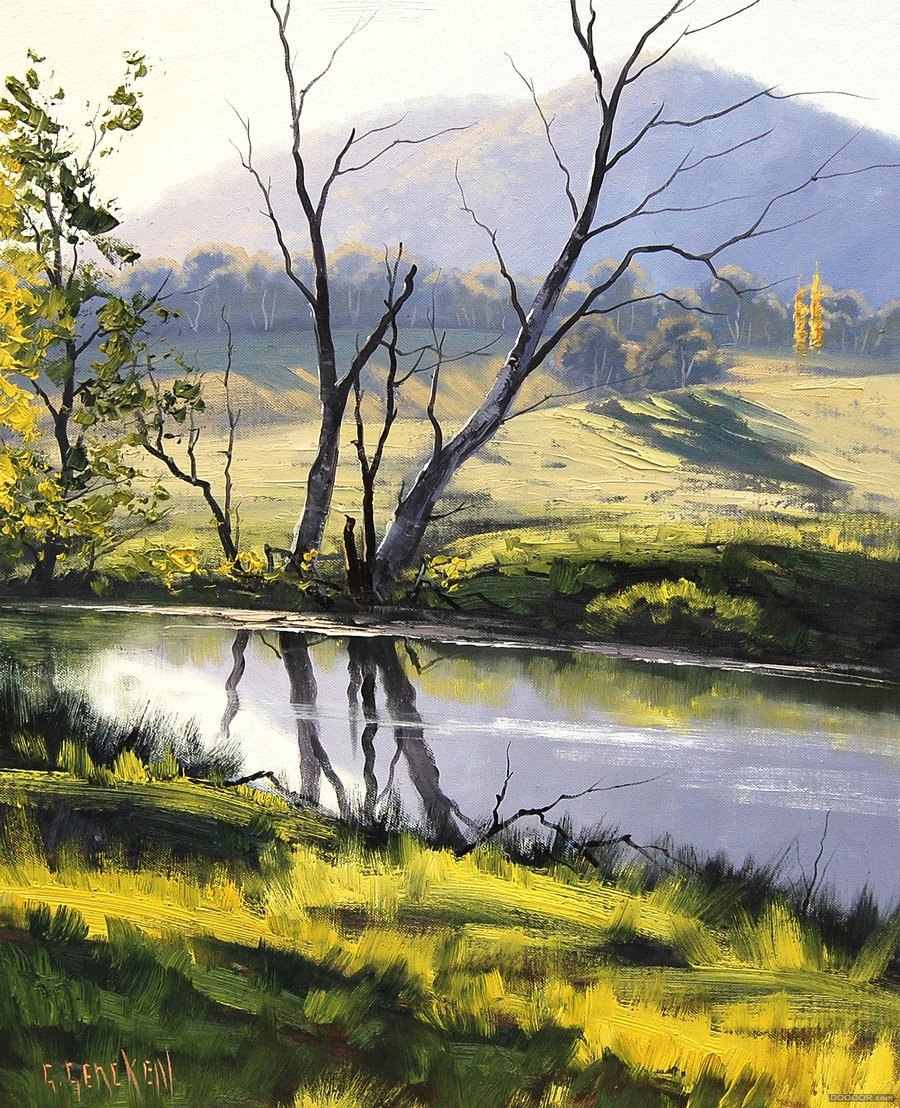 river_bank_tarana__australia_by_artsaus-d53g28g.jpg